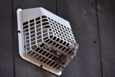 Outside Vent for Dryer that needs cleaning